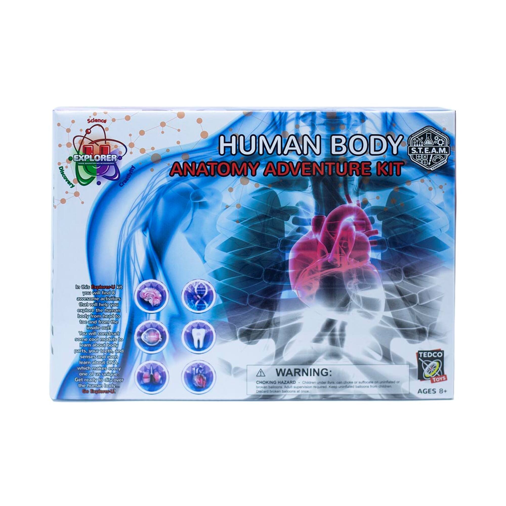 Explorer-U Human Body Anatomy Adventure Kit